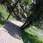 20160221_132220