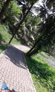 20160221_132220
