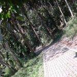 20160221_132228