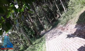 20160221_132228