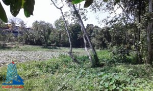 20160221_132233